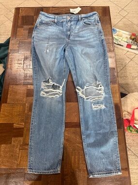 American Eagle Outfitters Distressed Light Blue Boyfriend Jeans